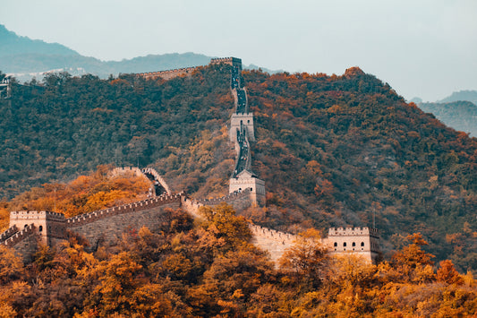 Image de la grande muraille de chine entouré de forêts couleur automnale
